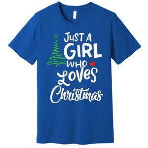 A Gift For Xmas Gift Premium T-Shirt