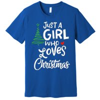 A Gift For Xmas Gift Premium T-Shirt