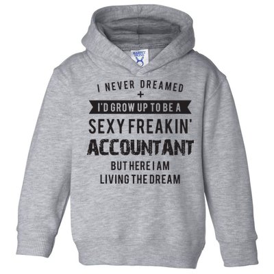 Accountant Graduation Funny For Future Accountant Gift Toddler Hoodie