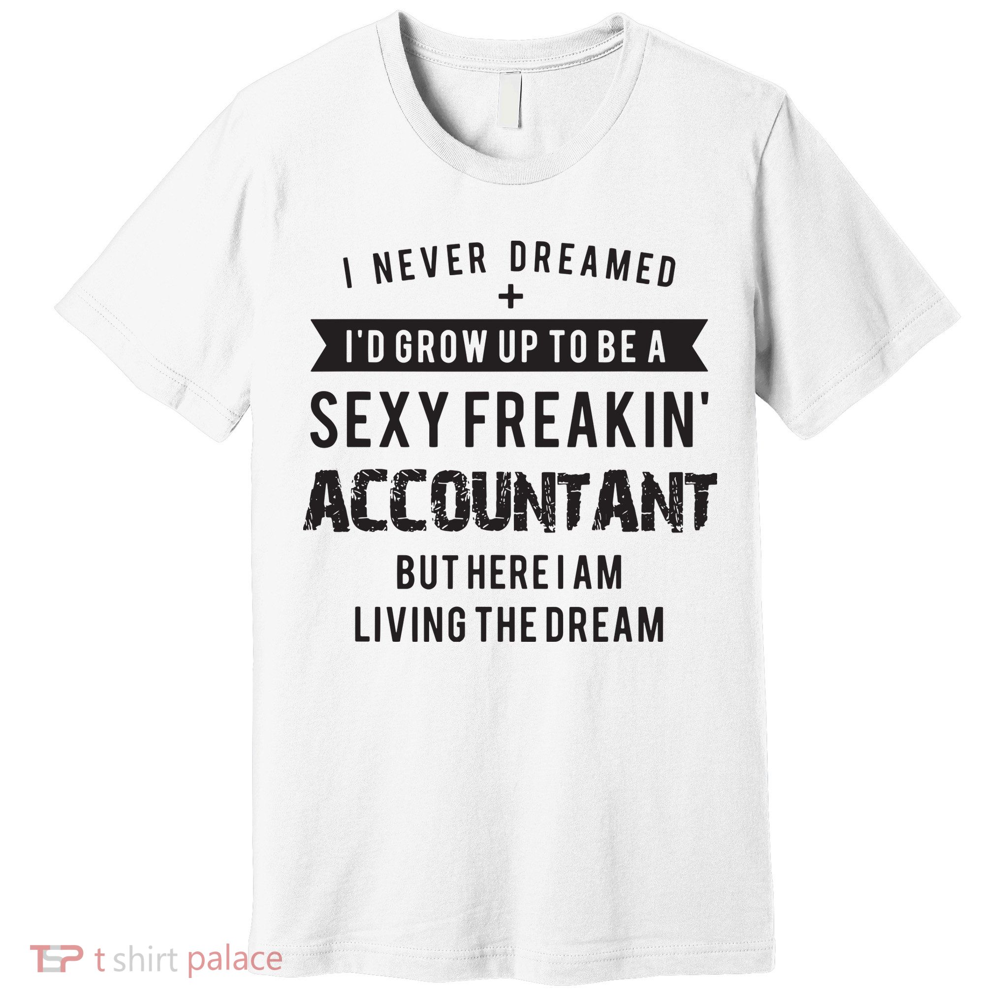 Accountant Graduation Funny For Future Accountant Gift Premium T-Shirt