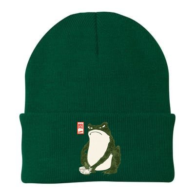 Aesthetic Grumpy Frog Famous Japanese Art Toad Graphic Knit Cap Winter Beanie