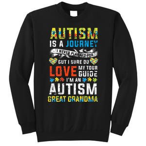 Autism Grandma Great Grandma Journey Quote Autism Awareness Sweatshirt