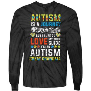 Autism Grandma Great Grandma Journey Quote Autism Awareness Tie-Dye Long Sleeve Shirt