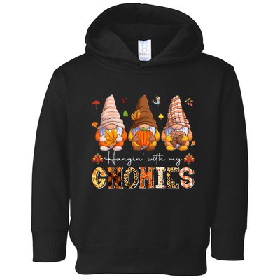 Autumn Gnome Gathering Embrace the Fall Vibes Toddler Hoodie