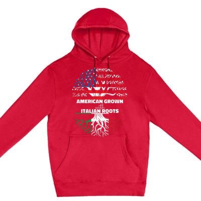 American Grown Italian Roots Half America Italy Usa Us Flag Premium Pullover Hoodie