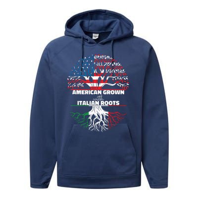 American Grown Italian Roots Half America Italy Usa Us Flag Performance Fleece Hoodie