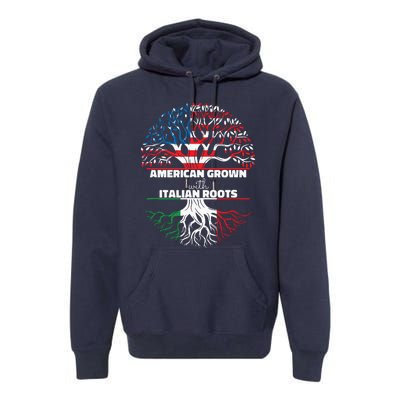 American Grown Italian Roots Half America Italy Usa Us Flag Premium Hoodie