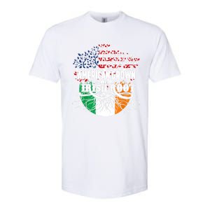 American Grown Irish Root Flag Ireland St Patricks Day Softstyle CVC T-Shirt