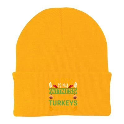 As God Is My Witness I Thought Turkeys Could Fly Gift Knit Cap Winter Beanie