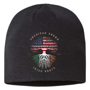 American Grown Irish Roots Ireland Flag Sustainable Beanie