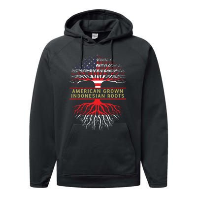 American Grown Indonesian Roots America Indonesia Tree Flag Performance Fleece Hoodie