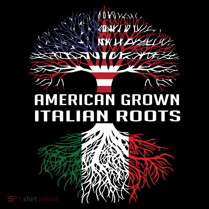 American Grown Italian Roots Italy Flag Proud T-Shirt