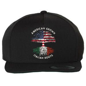 American Grown Italian Roots Family Tree Italy Flag Italian Wool Snapback Cap