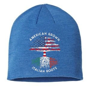 American Grown Italian Roots Family Tree Italy Flag Italian Sustainable Beanie