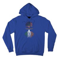 American Grown Irish Roots Ireland And Usa Flags Gift Hoodie