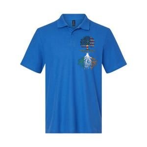 American Grown Irish Roots Ireland And Usa Flags Gift Softstyle Adult Sport Polo