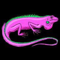 American Green Iguana Lizard Cooling Performance Crew T-Shirt