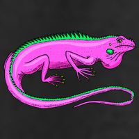 American Green Iguana Lizard Adult Drive Performance Visor