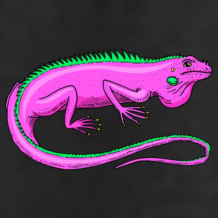 American Green Iguana Lizard Adult Drive Performance Visor