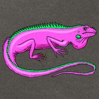 American Green Iguana Lizard Cotton Canvas Backpack