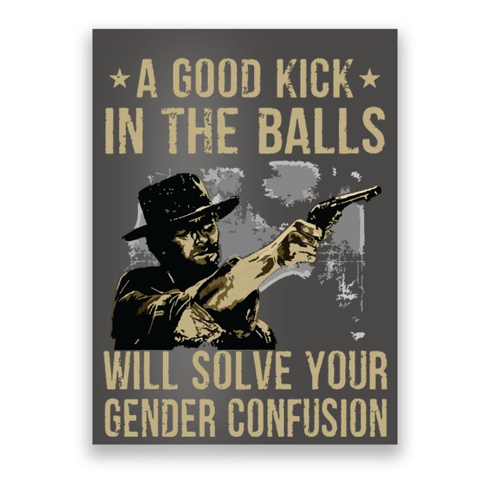 A Good Kick In The Balls Will Solve Your Gender Confusion Poster