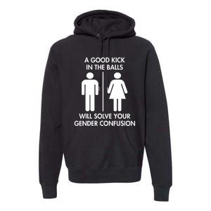 A Good Kick In The Balls Will Solve Your Gender Confusion Premium Hoodie