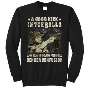 A Good Kick In Balls Will Solve Your Gender Confusion Sweatshirt