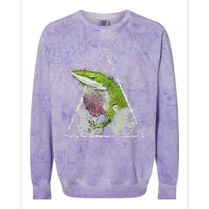 Anole Green Lizard Pet Anoles Reptile Smoke Colorblast Crewneck Sweatshirt