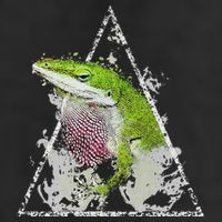 Anole Green Lizard Pet Anoles Reptile Smoke Adult Drive Performance Visor
