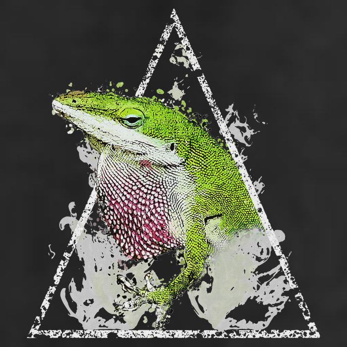 Anole Green Lizard Pet Anoles Reptile Smoke Adult Drive Performance Visor