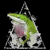 Anole Green Lizard Pet Anoles Reptile Smoke Drawstring Bag