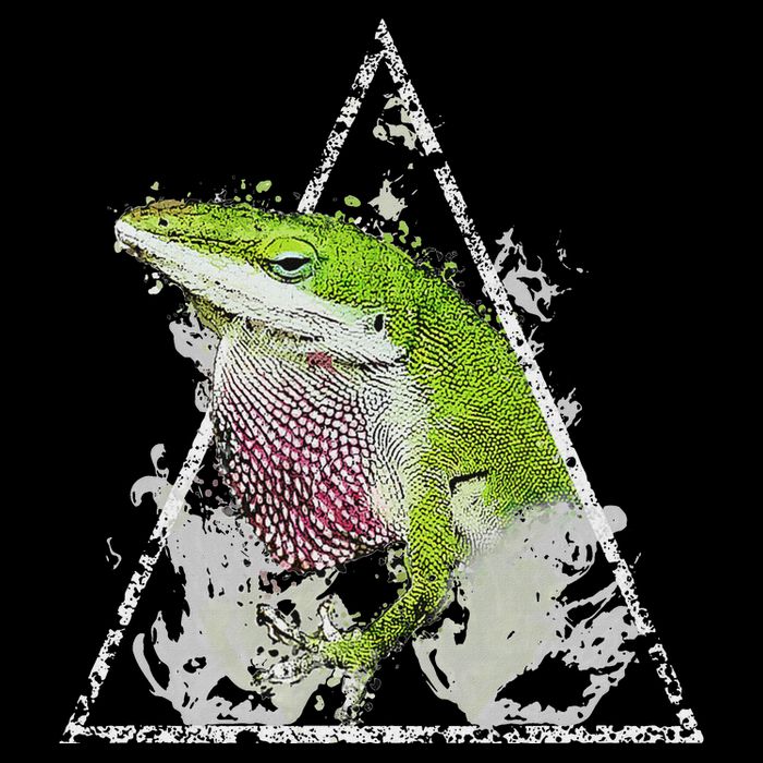 Anole Green Lizard Pet Anoles Reptile Smoke Drawstring Bag