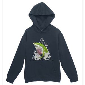 Anole Green Lizard Pet Anoles Reptile Smoke Urban Pullover Hoodie