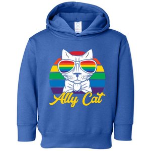 Ally Gay Lgbtq Lgbt Ally Cat Pride Month Straight Gift Toddler Hoodie