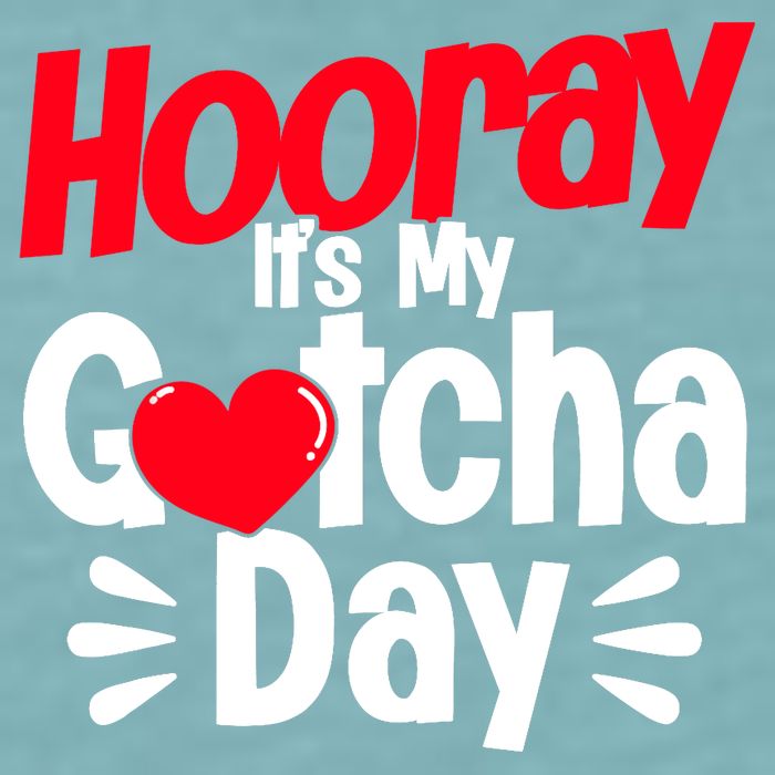 Adopt Gotcha My Gotcha Day Adoption Day Sueded Cloud Jersey T-Shirt