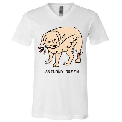 Anthony Green Numb V-Neck T-Shirt