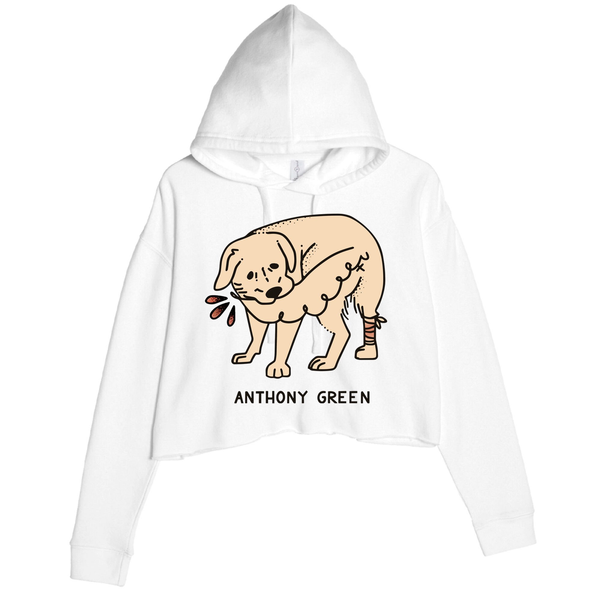 Anthony Green Numb Crop Fleece Hoodie