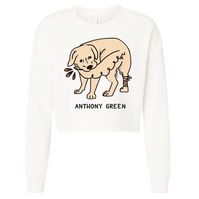 Anthony Green Numb Cropped Pullover Crew