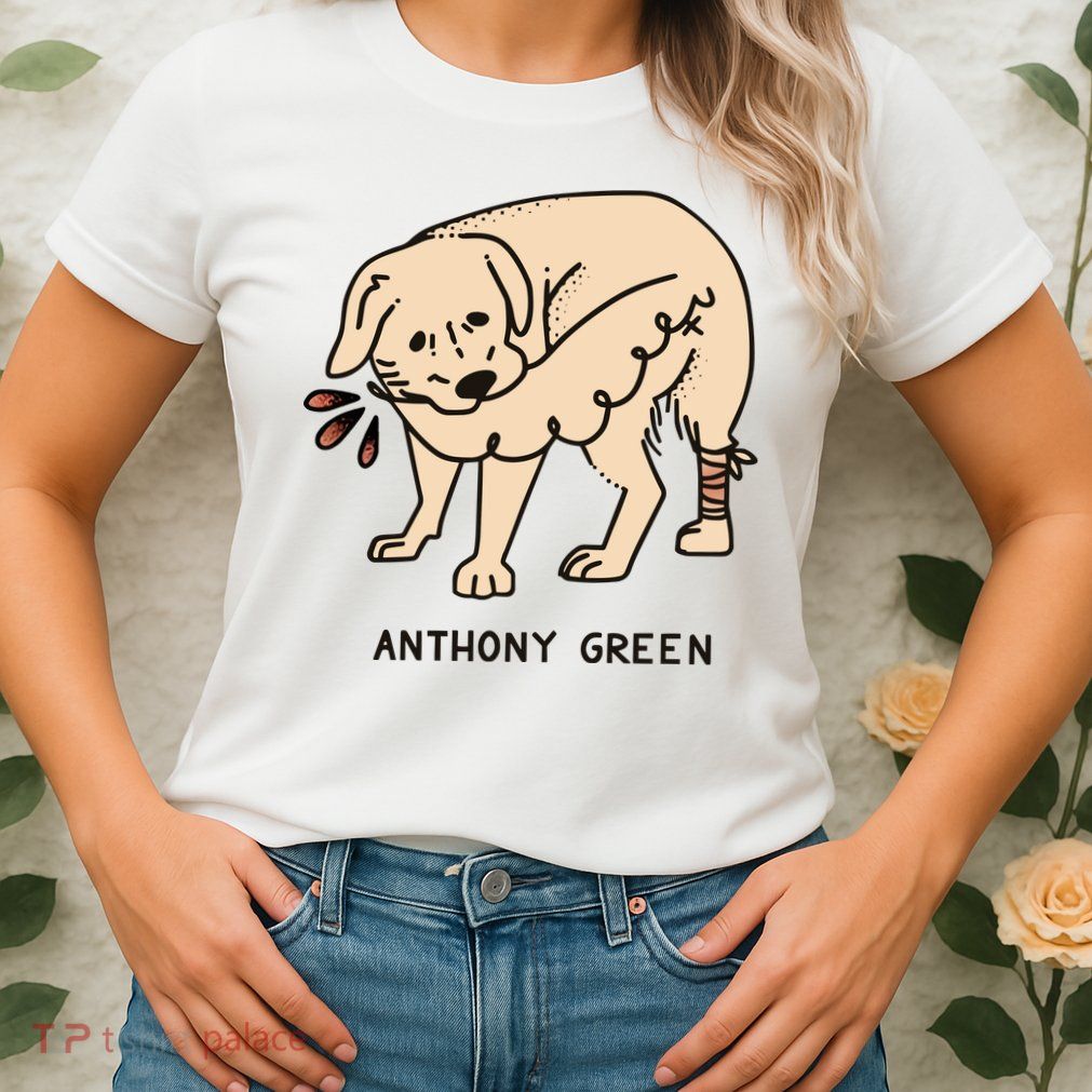Anthony Green Numb Womens T-Shirt
