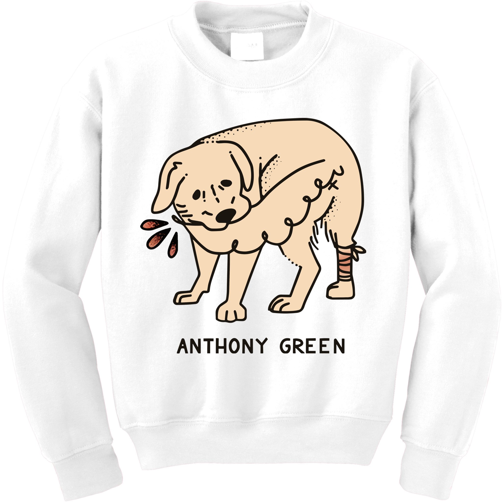 Anthony Green Numb Kids Sweatshirt