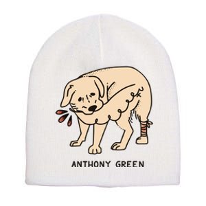 Anthony Green Numb Short Acrylic Beanie