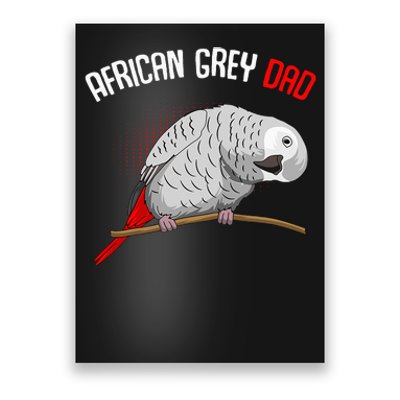 African Grey Parrot Dad Funny Poster