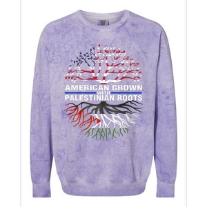 American Grown Palestinian Roots Palestine Flag Colorblast Crewneck Sweatshirt