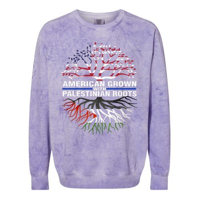 American Grown Palestinian Roots Palestine Flag Colorblast Crewneck Sweatshirt