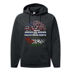 American Grown Palestinian Roots Palestine Flag Performance Fleece Hoodie