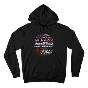 American Grown Palestinian Roots Palestine Flag Hoodie