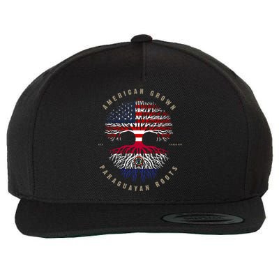 American Grown Paraguayan Roots Paraguay Flag Meaningful Gift Wool Snapback Cap