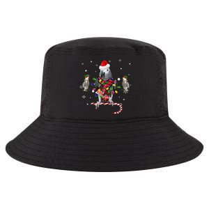 African Grey Parrot Funny Christmas Santa Hat On Gift Cool Comfort Performance Bucket Hat