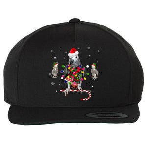 African Grey Parrot Funny Christmas Santa Hat On Gift Wool Snapback Cap