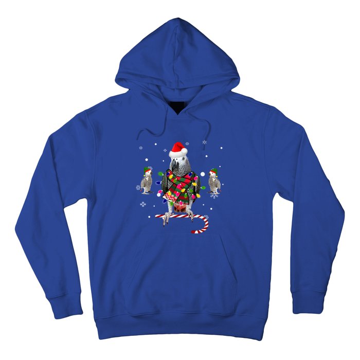 African Grey Parrot Funny Christmas Santa Hat On Gift Hoodie